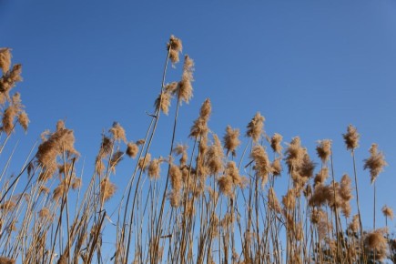 ������ 13 �����. ������� ��������� ������� ��������� ������