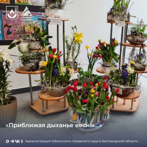 ����� ��������� �������� - ��������