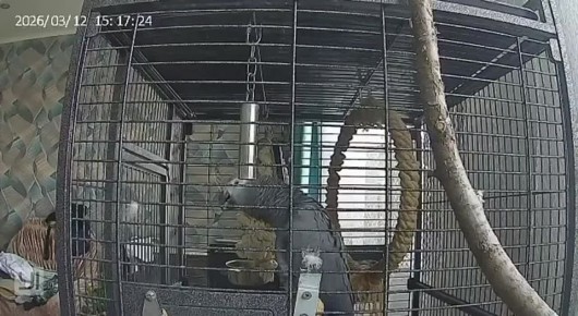 ���������, �������� ���������!�