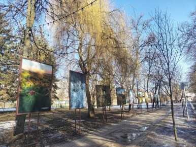 � �������, 13 �����, ����� ����� �����������