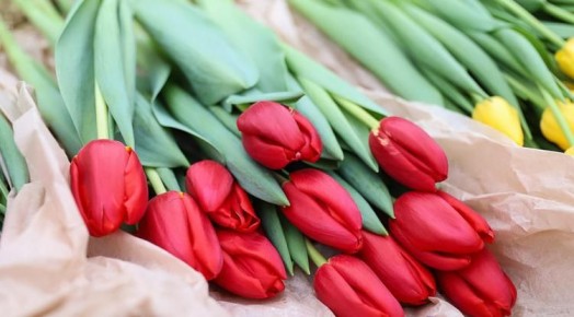 �������� ����� �������� �������� ������ ���� �����������