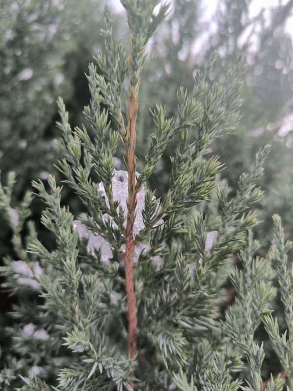 ������ ����, ����������!. ������� ��������� ������������ �� +12 ��������