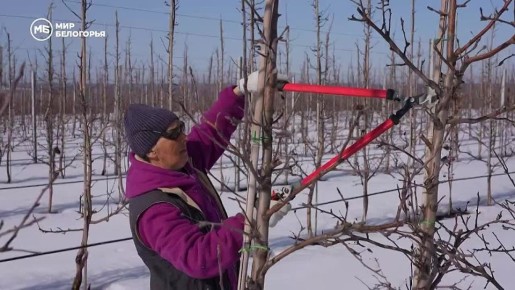 � ������������ ������� ������� ��������� ���� � ������ ������