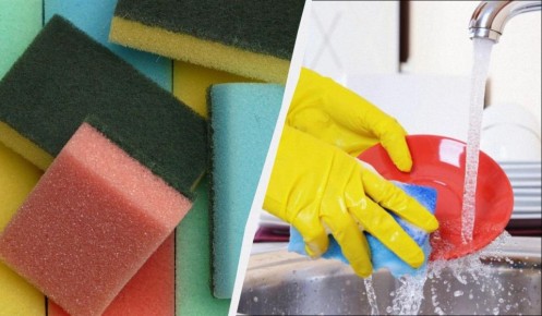 ���� ����� ��� ������: ��� �������� ������� � ��� ��� ��������� ������������