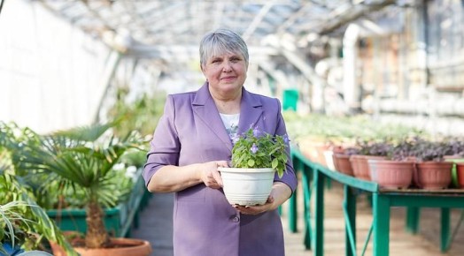 ����� ������� ���������� �������� �������������� ���������