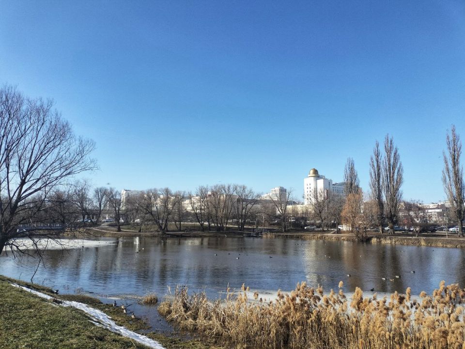 � �����������, 15 �����, ����� ����� �����������