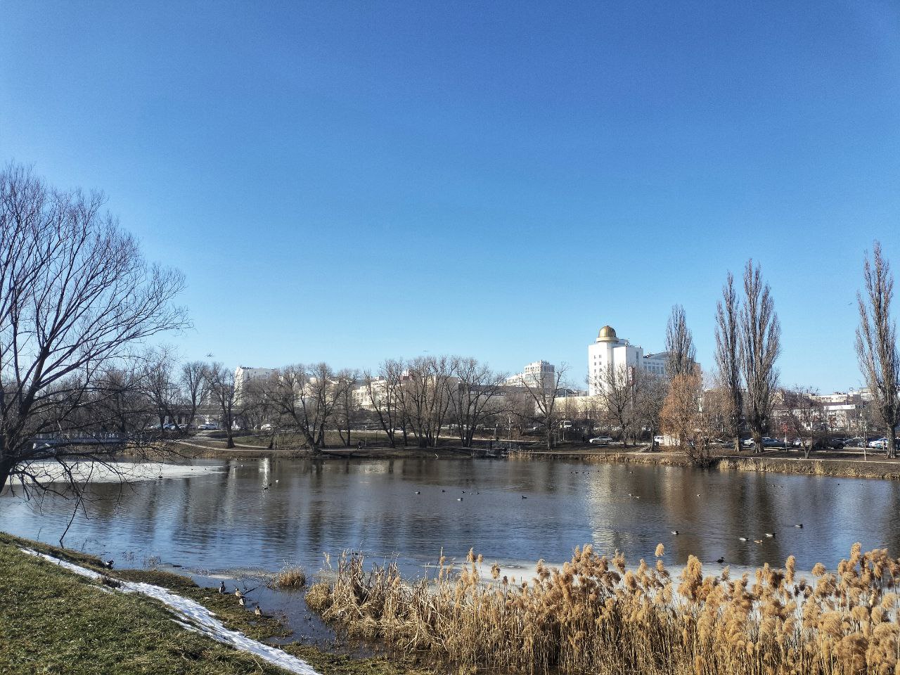 В воскресенье, 15 марта, будет вновь малооблачно