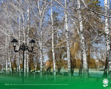 15 �������. ����������� ������� 10�C, ����, ��� �������