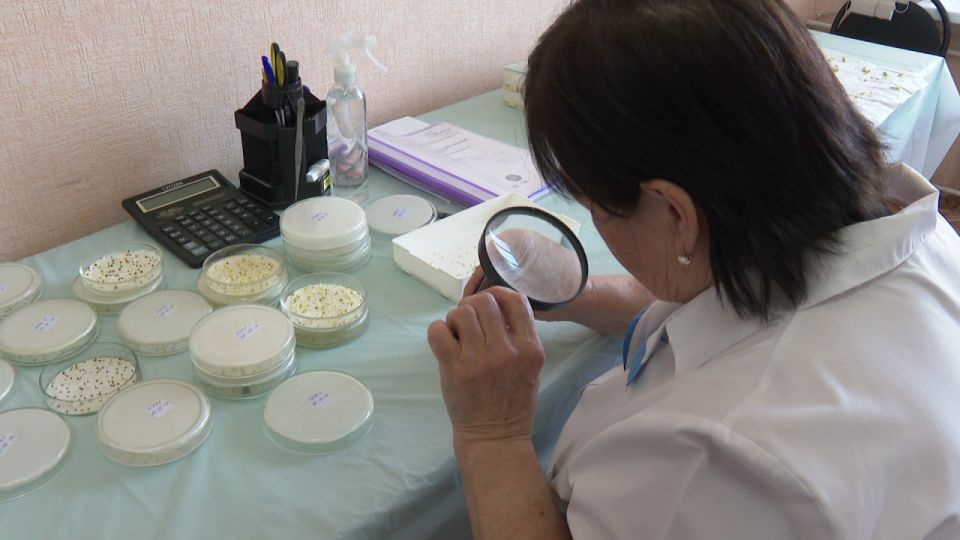 � ������������ ������� ��������� ����� �������� ����� ����� ��������