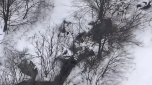 ����� ������� ���������� �������� ������� � ������ ���������� �������������� ���