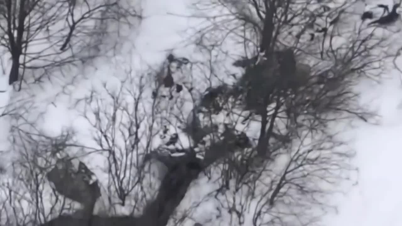 Бойцы «Севера» уничтожили площадки запуска и пункты управления беспилотниками ВСУ