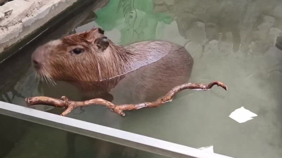 ��������� ����� ����� ������������ � ������������ ��������