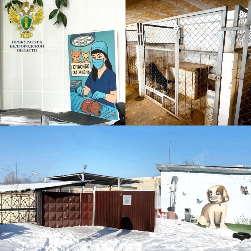 � ������������ ������ �������� ��������� � ������� � ������� �������