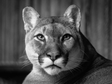 ���� ��������, ��������� �������� ������� � ��������� �� ��������� � ������ �� ��������, ���� �� �������� � ����� ����� ����� � �����������