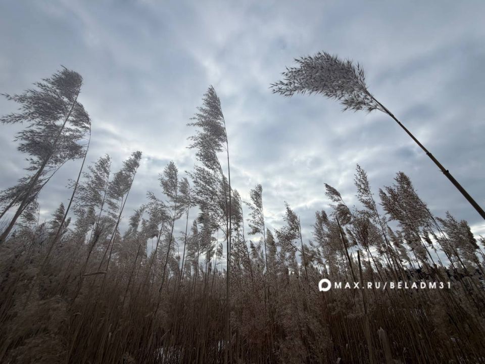 ������ ����, ��������!. ����������