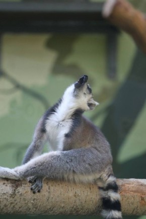 ������ ����, ����������!. ������� ������������� �������� �������� +4 ������� � ��������� �����