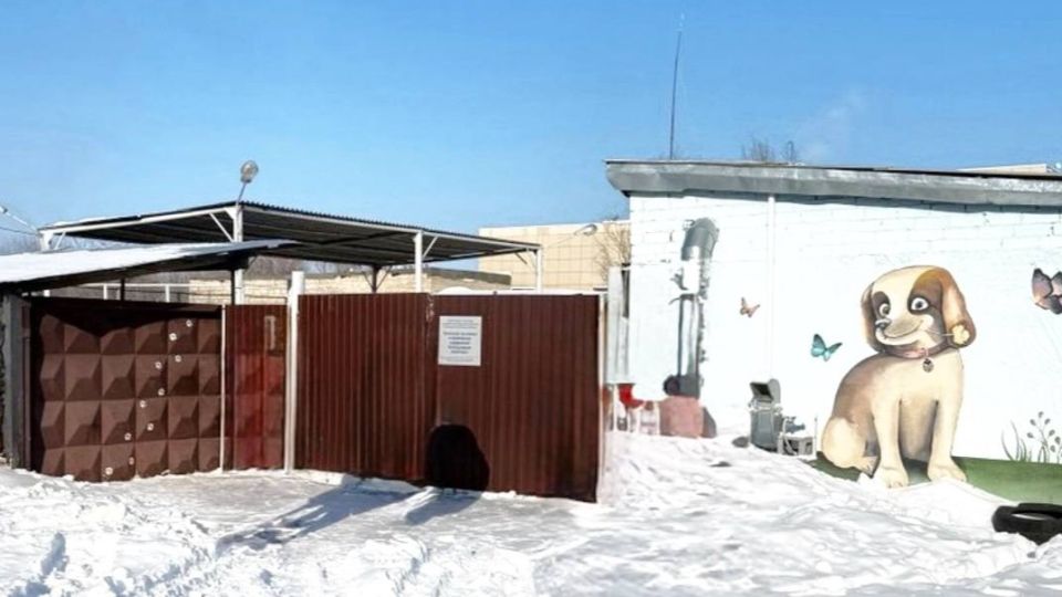 ����������� ������� ������������� � ������������ ������ ��� ��������� ��������