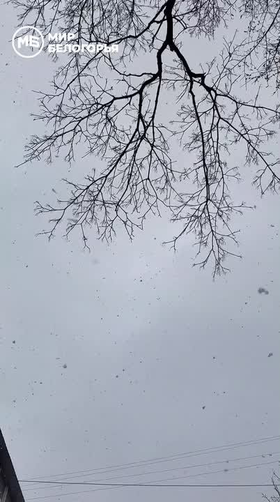 �������, ���-�� ������ ��������� ������