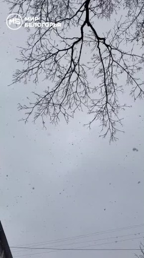 �������, ���-�� ������ ��������� ������