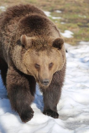 Погода 17 марта. Сегодня синоптики обещают дождь