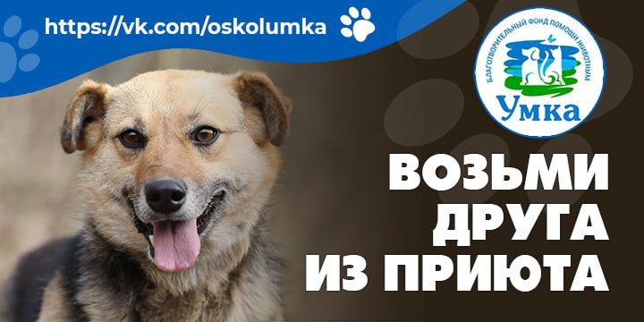 ������ ����� �� ������. ��� ����� ����� ����� ������� ������� ������ � �������� �����, ������� ��� ������ ��������