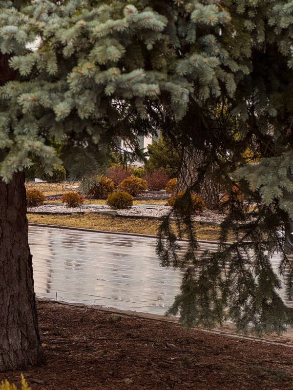 � ������ �����, ���������!