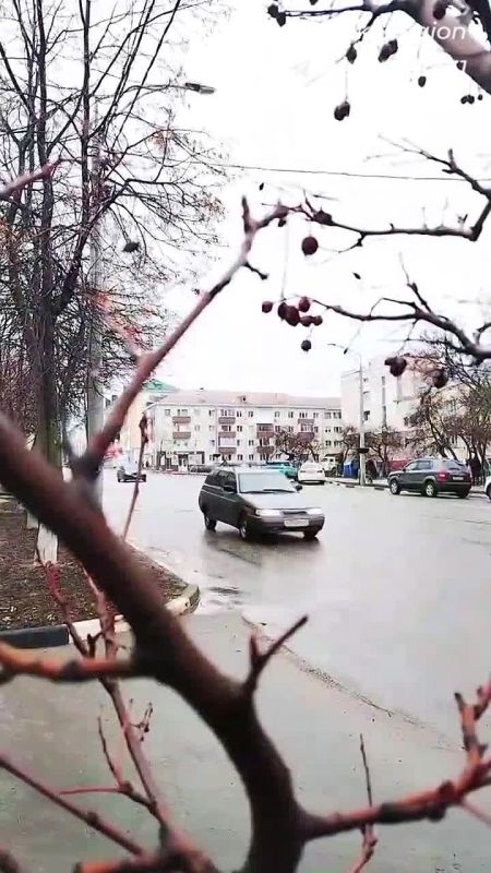 ������ ����, �������������!