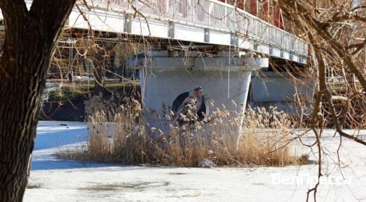 ����������� �������� ������������� ��������� ������� ����� ��������� ���