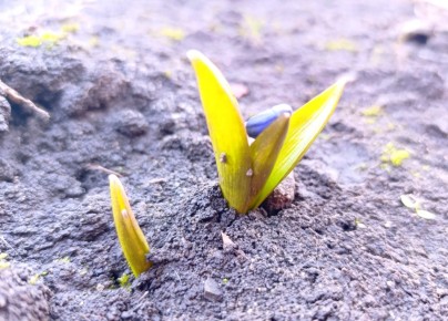 ����� �������� � ���� �����: ������������ ����� ��������, �������� ������������ ������ �����