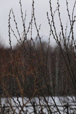 �� ������������ �������! ��� �������� ��������� ��� ���������� ������������� ��������