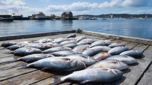 ������� � ����������� � ���������� ���� �������� ������������� � 9,2 ��� ������