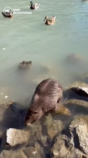 Белгород.... Сирены, взрывы, прилёты... Это наша реальность, но не приговор