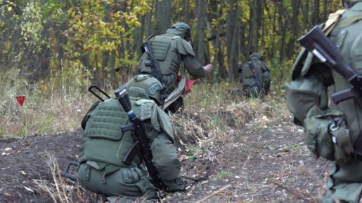 ����������� ������������ �� ��������� ��� � �����������