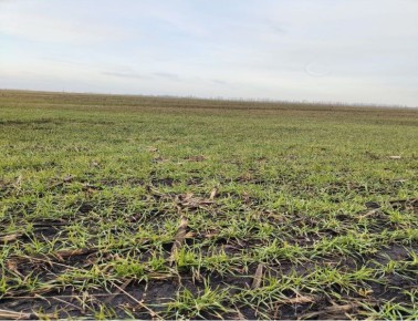 ���� ��������: 17,322 ������ �������� ������ ������� ������� ������� ������������ �������������� ������ ��� ������ 2026 ����