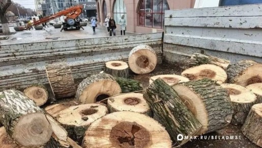 ��������� ������� ������� �� �������� �������� � ���������