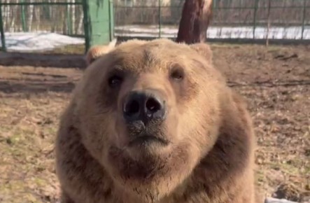 ������������ ��������� ��� ���������� ������� ��������