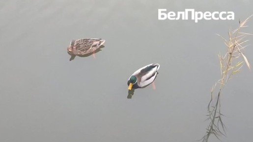 ������� �� ����������!. ������ ���������� ������ ���� ��������� ���������� ��� ������������ �����������