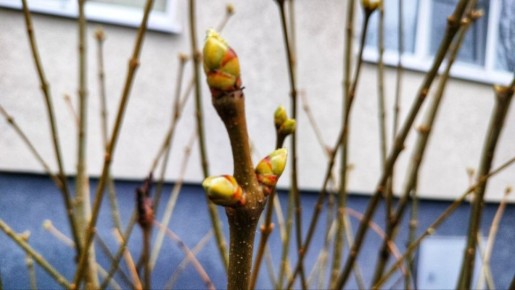 � �������, 21 �����,���������� ������� ���������� ����������