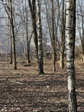 ����� ����� �������� ���������� � ���� ��������� ������������ ������� ����������� �� 4. ���������� ������� �������, ��� ��� �������� ����� ���� ��� ���� ������