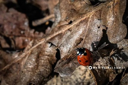 ������ ����, ��������!. �������, 21 �����, � ������ ��������� ���������� ����������