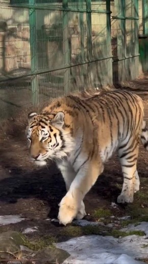 ������ ���� �� ������� ������!