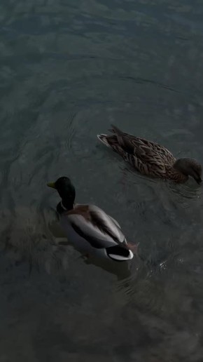 ������ 22 �����. ������� ��������� ������� ����� ������