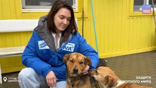 ������ � �������� � ���� ������� �� ���