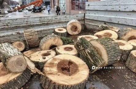 ����������� ��������� � ������ ������� ���������. � ������ ��� �������� ������ �������� ��������. ������ ��� ����������?