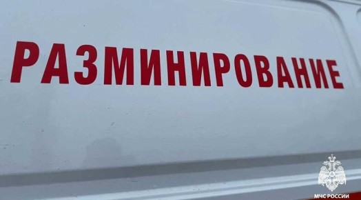 По поручению Владимира Путина в белгородском МЧС создадут пиротехническое подразделение