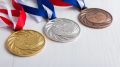 В 2025 году белгородские спортсмены завоевали 1 539 медалей