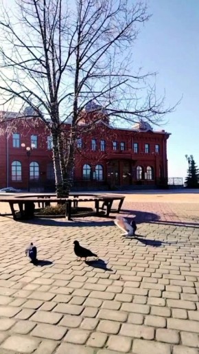 ������ ����, �������������!