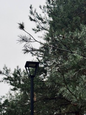 ������ 23 �����. ������� ��������� ������� ����� ������