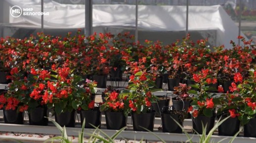 � ��������� ��������� � ���������� ������