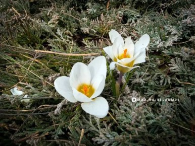 ������ ����, ��������!. ������� �� ����� ��-���������� �������� ������